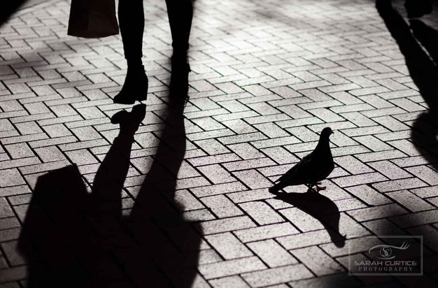 Street Photography Project Sarah Curtice Photography-27.jpg