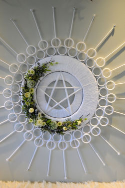 Floral Couture - Cosmos