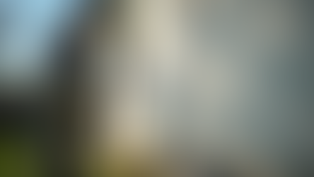 Safe Soft Washing: The Gentle Way to Clean Your Property