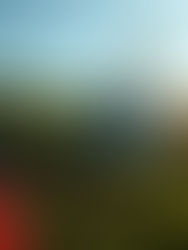 Cayó helicóptero en Tabasco; al menos 6 heridos