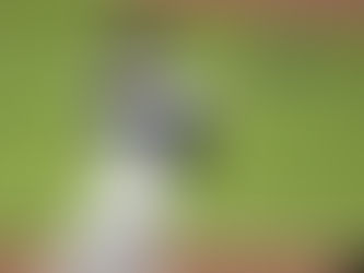 Yankees nuestra su poder: viene de atrás y vence a los Orioles 5-4