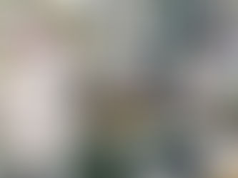 Abatió policía a asaltante tras balacera en la Ciudad de México