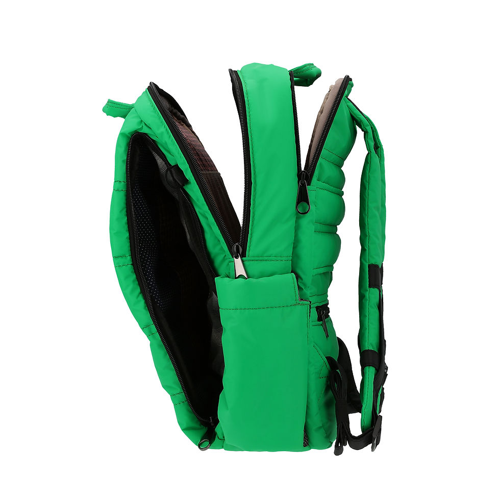 Thumbnail: Backpack Classic size L Green