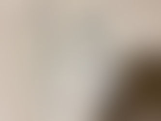 「親なきあと」後見契約が完了しました