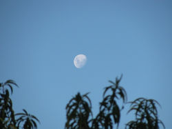 Moon