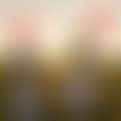 Challenges and Resilience of Immigrant Parents in GTA during COVID 19 Pandemic