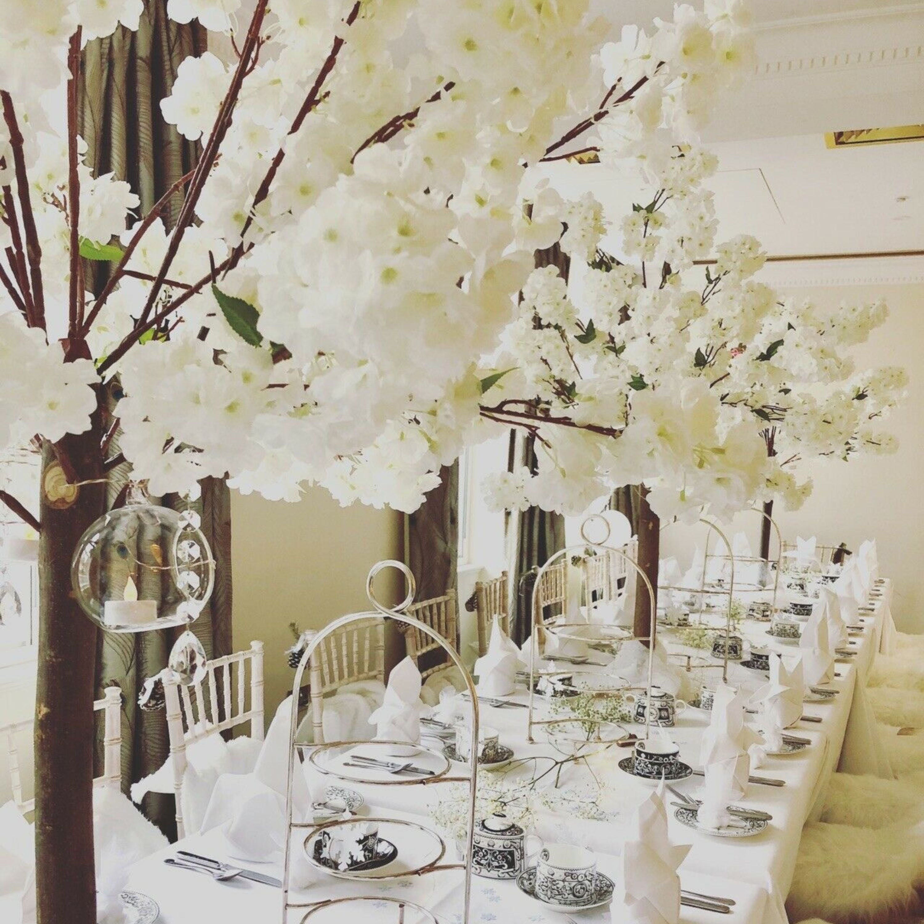 Blossom tree hire