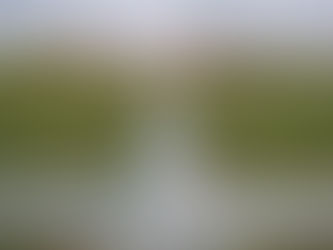 Watch the Bulls for FREE this Saturday