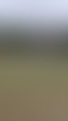 Ingram Double Helps AFC Mansfield See Off Kimberley