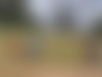 New-look Bulls underway and Hobson commits