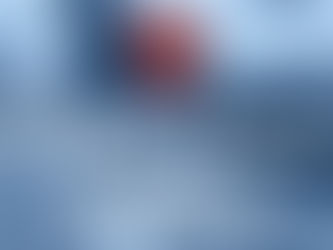 A Christmas message from the Bulls