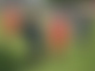 PREVIEW | Liversedge (H)