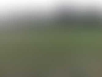 Honours even at the Forest Town Arena