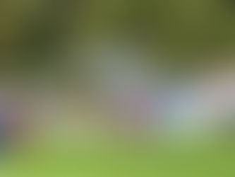 FA CUP JOY FOR THE BULLS