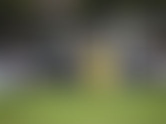 REPORT | Athersley Recreation 1-1 Bulls