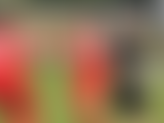 PREVIEW | Hemsworth MW (A)