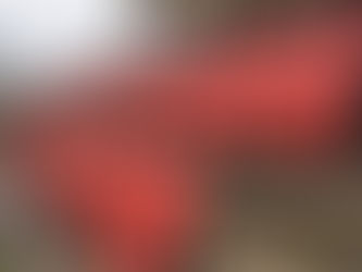 Albion Sports fixture postponed