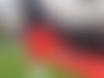 2019/20 season expunged