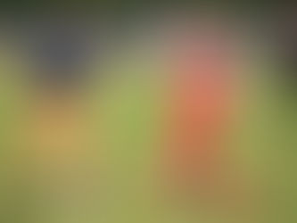 PREVIEW | Handsworth (H)