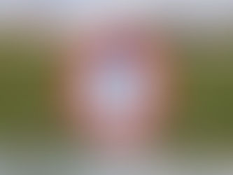 NCEL provides financial support to member clubs