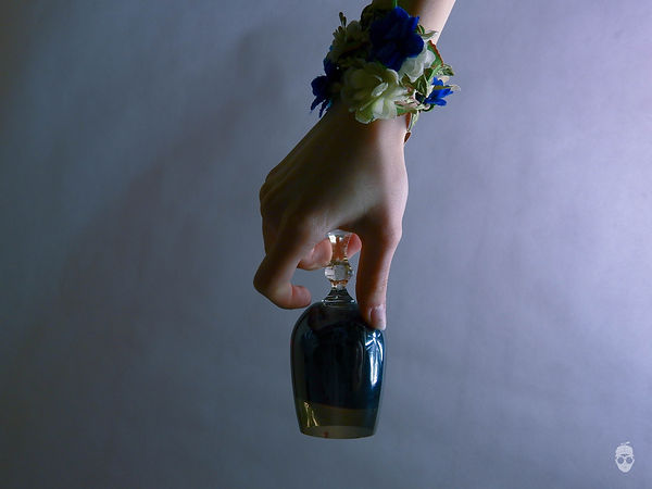 DSCN3181.jpg