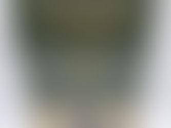 These are Not Pareidolia: Thought-forms