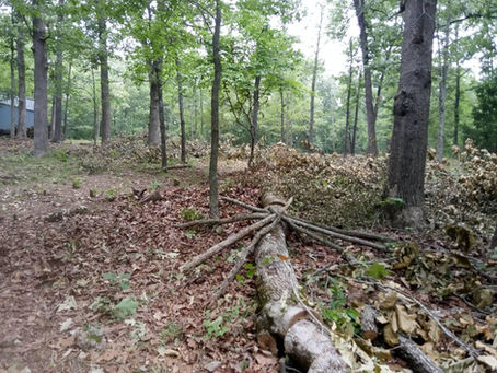 The Sign of Melchizedek