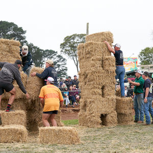 Hay Stacking