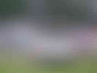 Robertson Show 2024.Sat Evening.Low Res.09.jpg