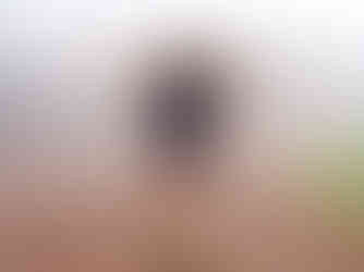 Robertson Show 2024.Day Outside.Low Res.132.jpg