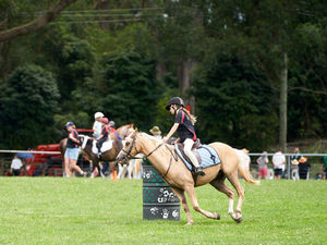 Robertson Show 2024.Day Outside.Low Res.35.jpg