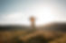 G1L_1049.JPG