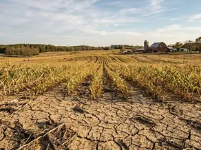 Drought Response: Operational Performance Analysis
