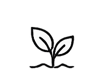 icon graphic
