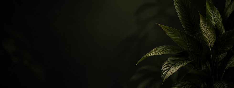 c312b5f7-a0a8-4cce-b7d0-df9ebdaebab0.png