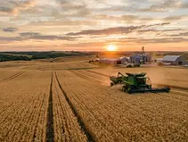 Yield Optimization: The Execution Constraint