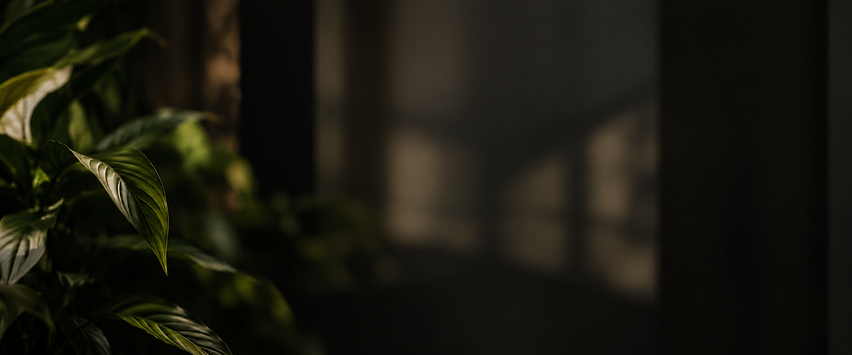 2a67919b-f1c2-4595-be22-ecbb7e9e918f.png