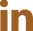 linkedin_brown_9F5E22.png