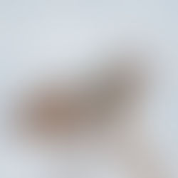 Two of my favourite Granola Recipes #lowcarb #sugarfree