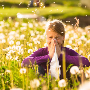 Eat Your Way to Hay Fever Relief This Summer 🌼