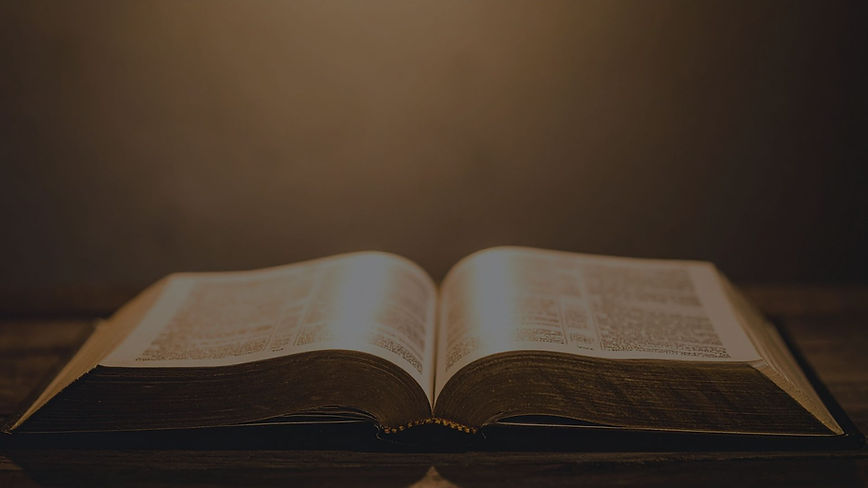 Latest Events - F.E.E.D feature background.jpg