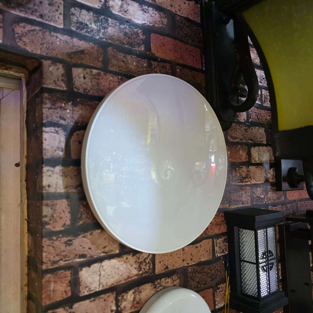 Flush light
