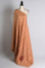 Embroidery Designer Saree in Brown