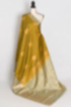 Full length front view of the Harini olive green semi silk Kanjivaram saree with a wide contrast sage green gold zari border