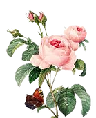 download (2)_edited.png