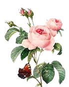 download (2)_edited.png