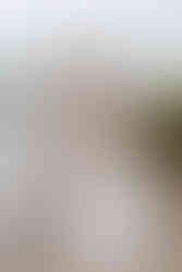 Hochzeitsfoto Reportage freie Trauung Strandrestaurant Marienbad Schleswig von Herzensbild Hochzeitsfotograf