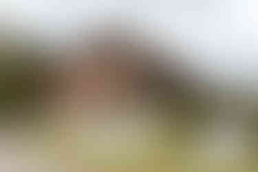 Hochzeitsfotograf Gut Projensdorf Kiel