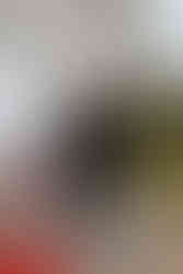 Hochzeitsfotograf Gut Projensdorf Kiel