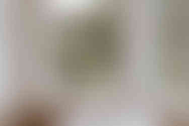 Hochzeitsfotograf Gut Projensdorf Kiel